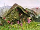 34 - David Partington - Mountain Flowers - Watercolour.JPG